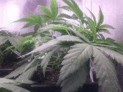 IMG 20140325 212844