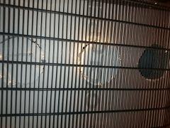 DSC_0459 (Copier).JPG