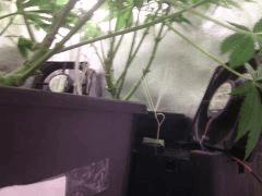 IMG 20140429 201732
