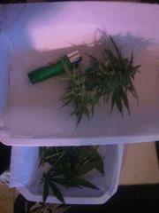 IMG 20140510 232550