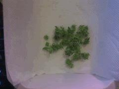 IMG 20140510 235257