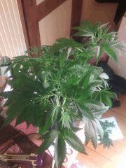 IMG 20140402 030619