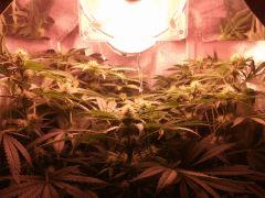 IMG 20140418 223654