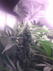 IMG 20140429 003822