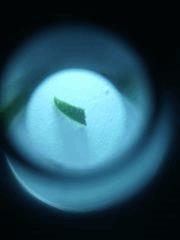 IMG 20140513 070556