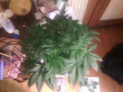 IMG 20140402 024711