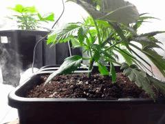 IMG 20140319 061718