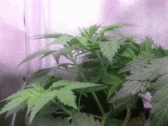 IMG 20140325 212853