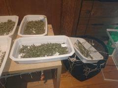 DSC_0582 (Copier).JPG
