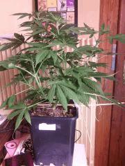 IMG 20140409 022425
