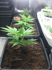 IMG 20140418 214625