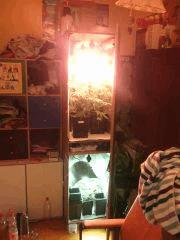IMG 20140503 012029