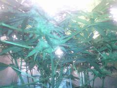 IMG 20140506 022335