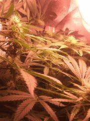IMG 20140422 233557