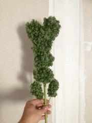 Arjan's Haze #1