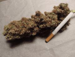 Apex Cig