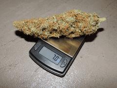 buds balance 4