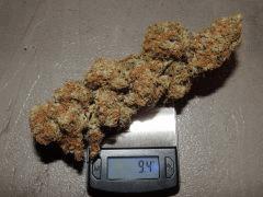 buds balance 6