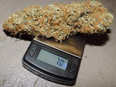 buds balance 2
