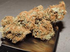 buds balance 3