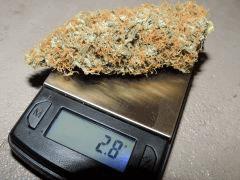 buds balance 1