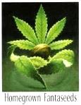 homegrown fantaseed logo