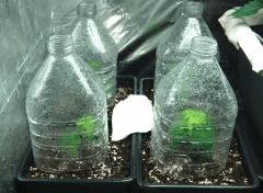 4boutbottle