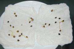 germtest3