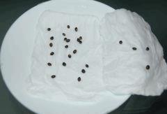 germtest7