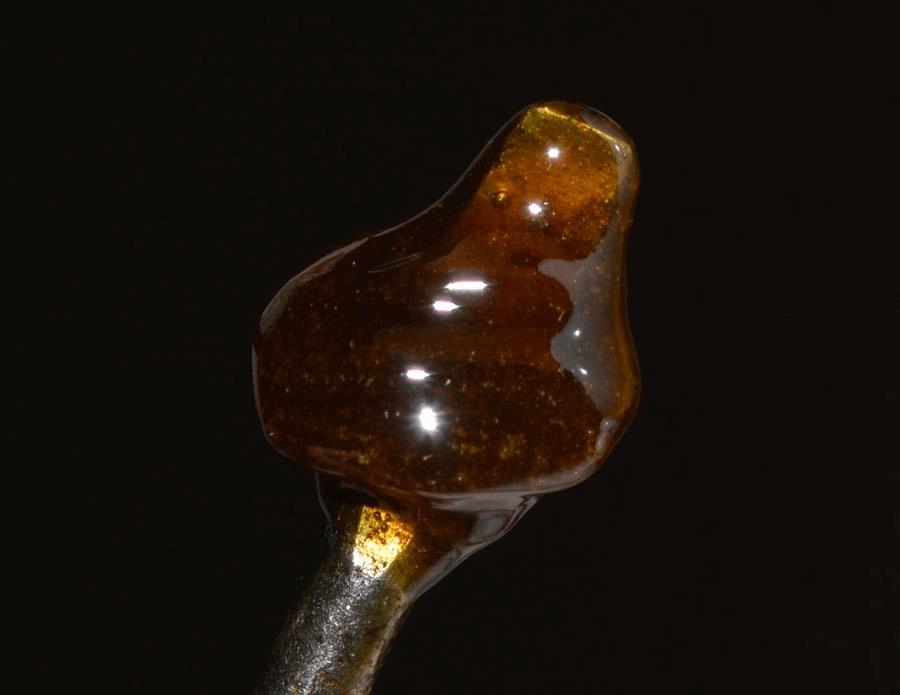 Extractions