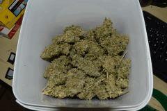 Miss U Jack (100gr)