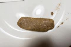 DSC07660