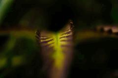 DSC01763
