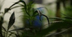 DSC00198