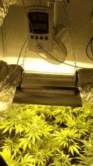 temp 26°c hydro 50%