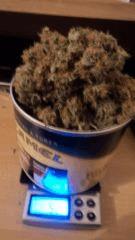 Superskunk#2 52Gr