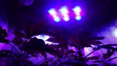 Panneau LED croissance DIY
