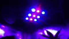 Panneau LED croissance DIY