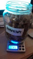 Amnesia 43.2g moins environ 3Gr on sait tous pourquoi hihihi...