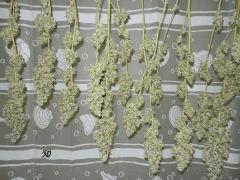 2 sour diesel sd