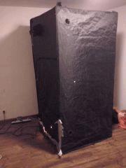 CAM00509