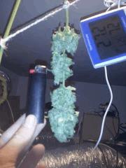 CAM00110[1]