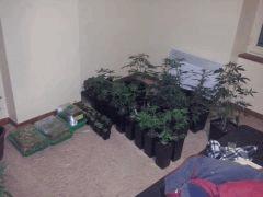 CAM00131