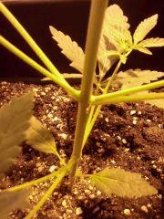 CAM00583