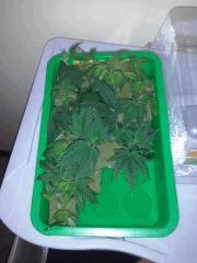 CAM00139