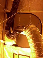 CAM00515