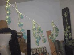 CAM00099[1]