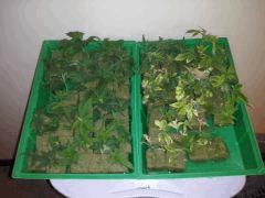 CAM00138