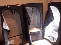 CAM00531