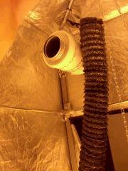 CAM00514